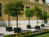 Wien_Schoenbrunn_Orangen